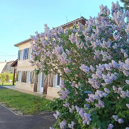 Villa Maison Zen En Pierre Avec Piscine Et Parc, Proche Bordeaux Et Saint-emilion *